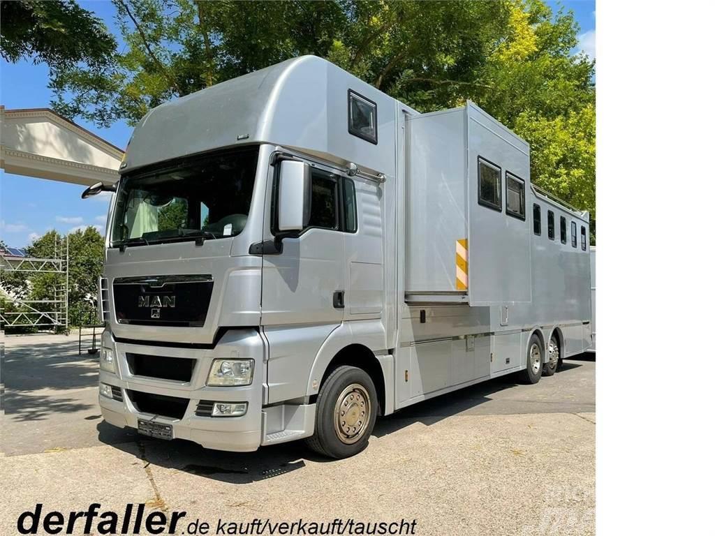 MAN TGX 26400 Gimmel 5-6 Pferde + Kiste, Popout Animal transport trucks