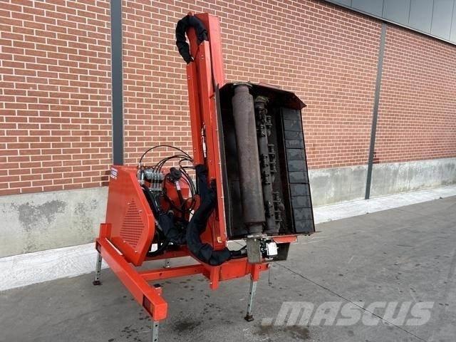Maschio cristina Maaiers