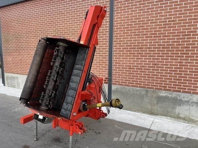 Maschio cristina Maaiers