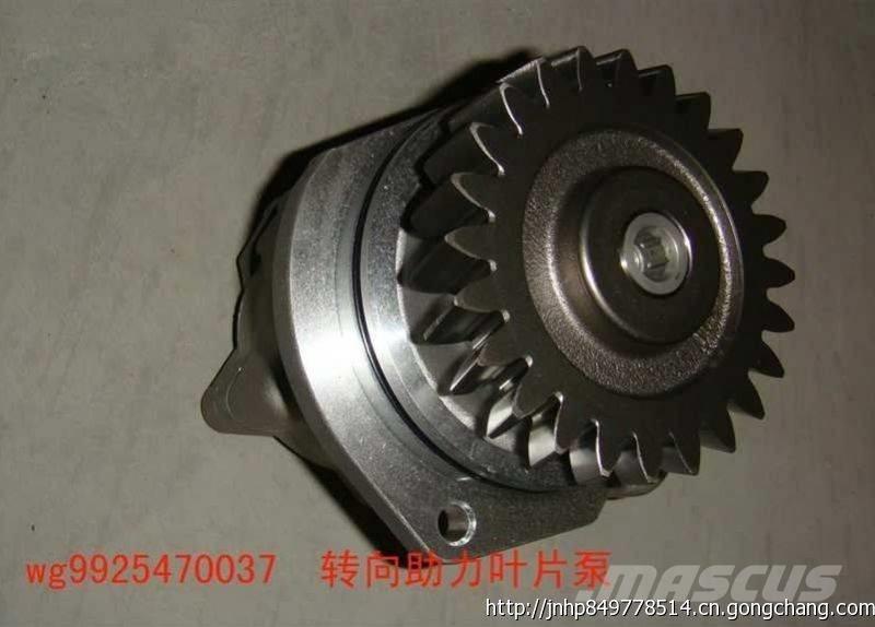  zhongqi WG9925470037 Motoren