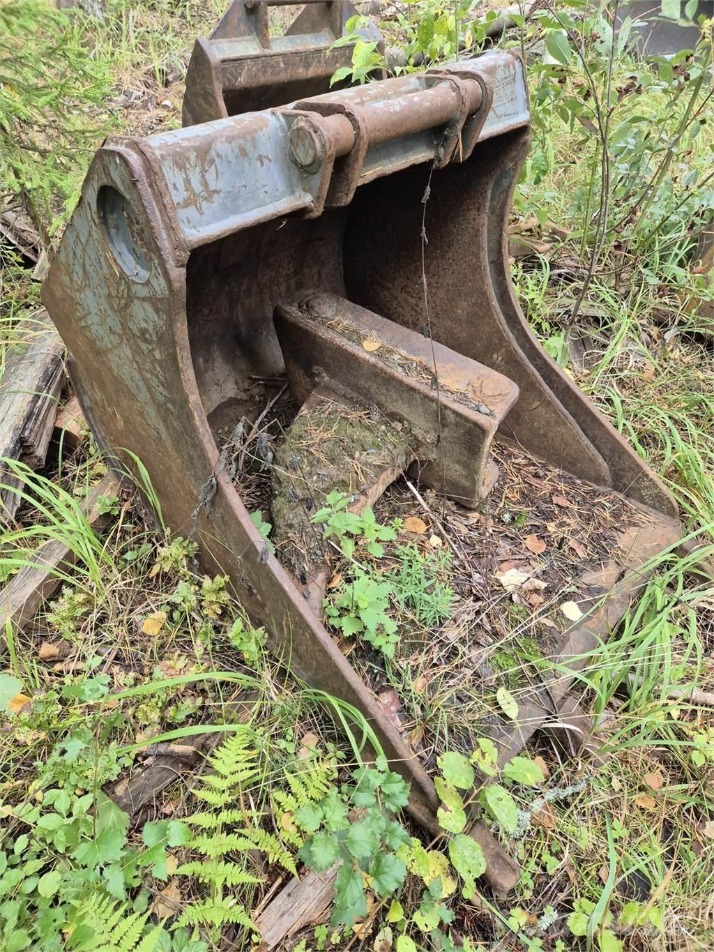 Lännen kynsikauha Bakken