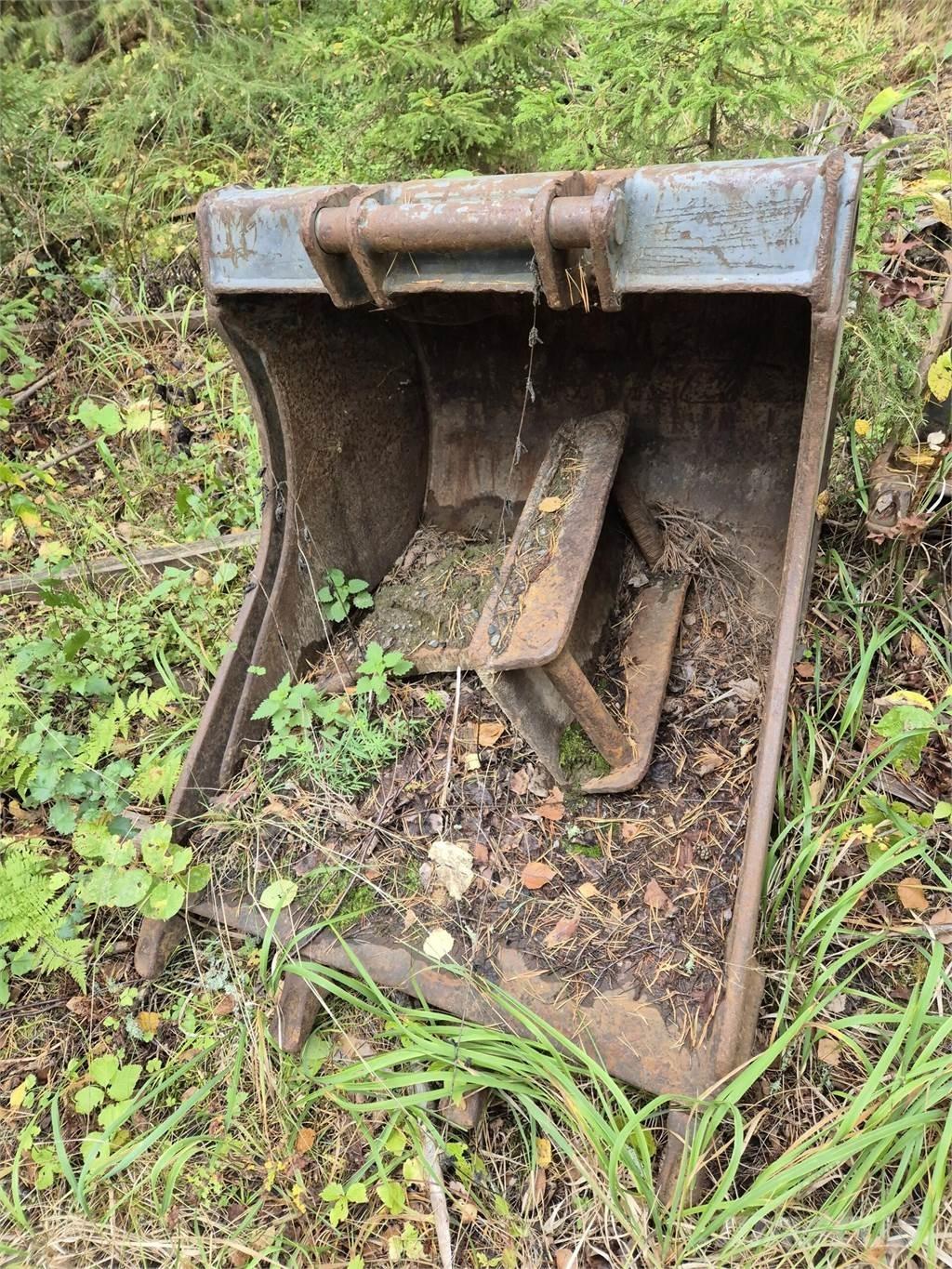 Lännen kynsikauha Bakken