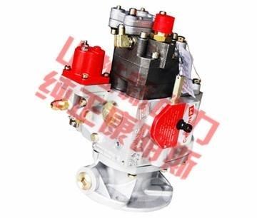 Cummins fuel pump Transport - Anderen
