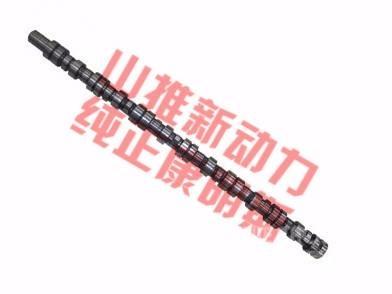 cummins 4298626 Motoren