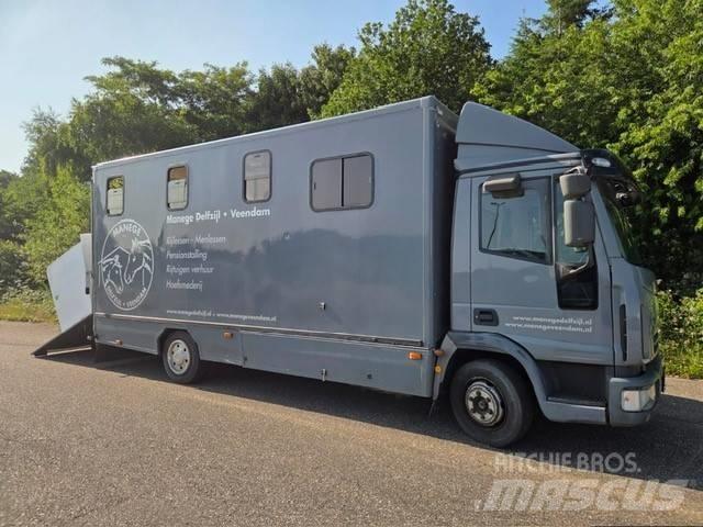 Iveco E 75 Dieren transport