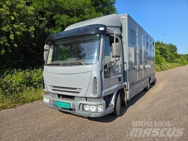 Iveco E 75 Dieren transport