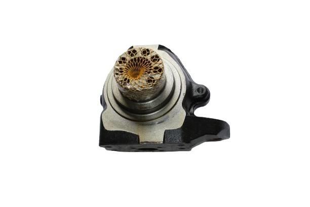CASE Fuzeta - 85824348 Assen