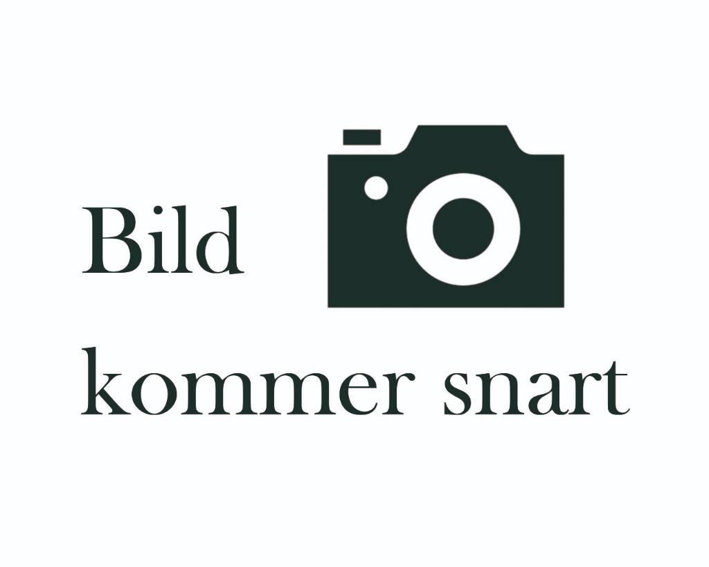 BT LPE250 Pallettruck met meerij platform