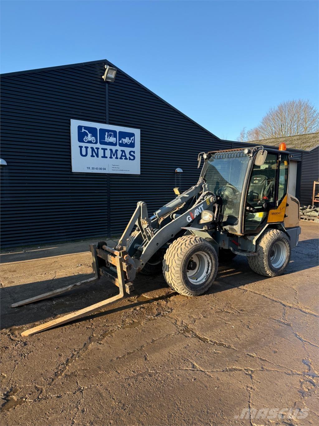 GiANT V6004 T Miniladers