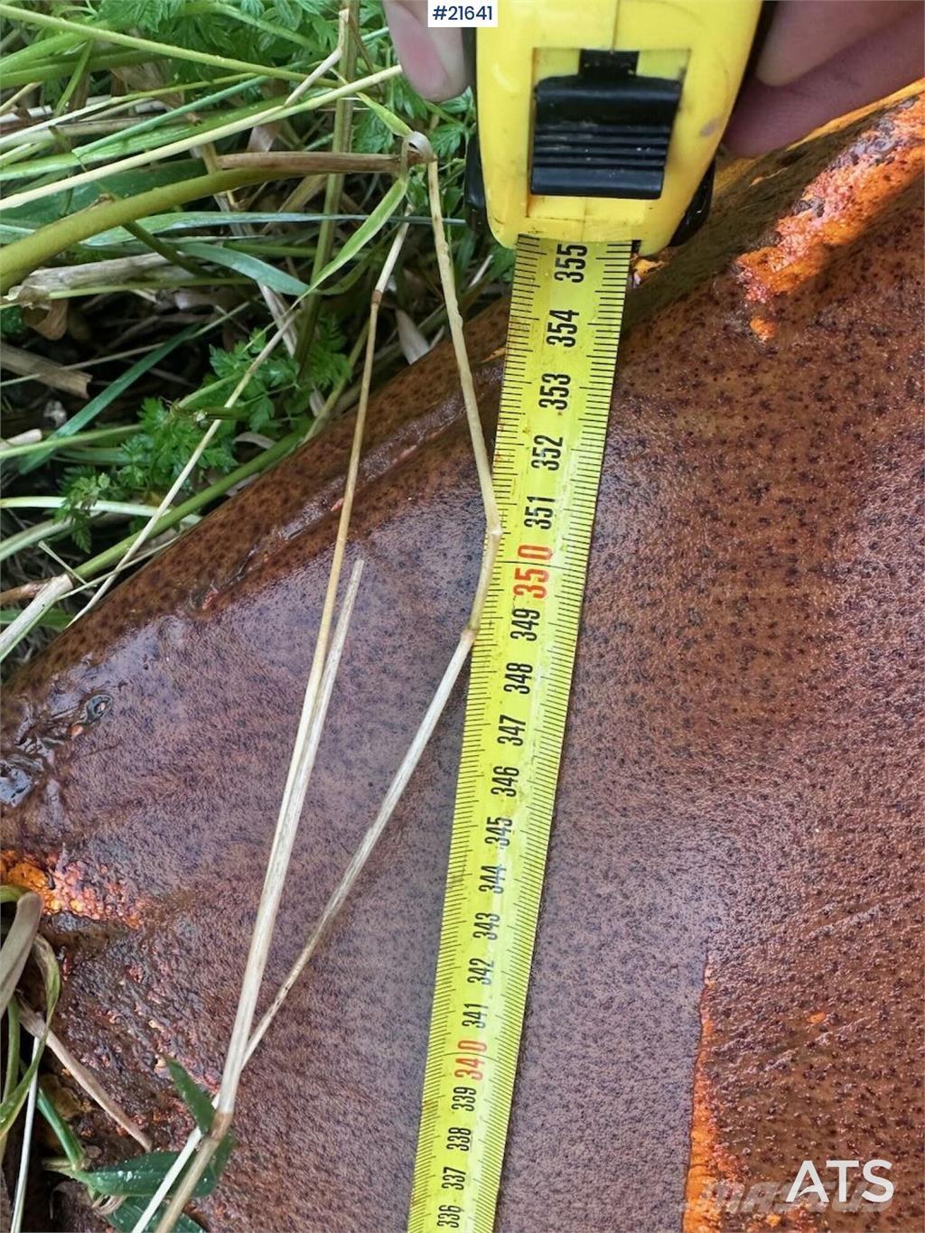  Gmill HDA 265 plow. Transport - Anderen