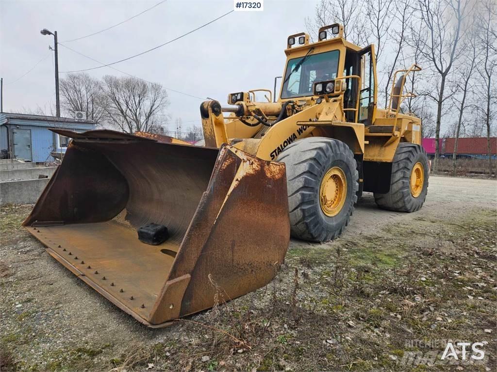 HSW 555B Wielladers
