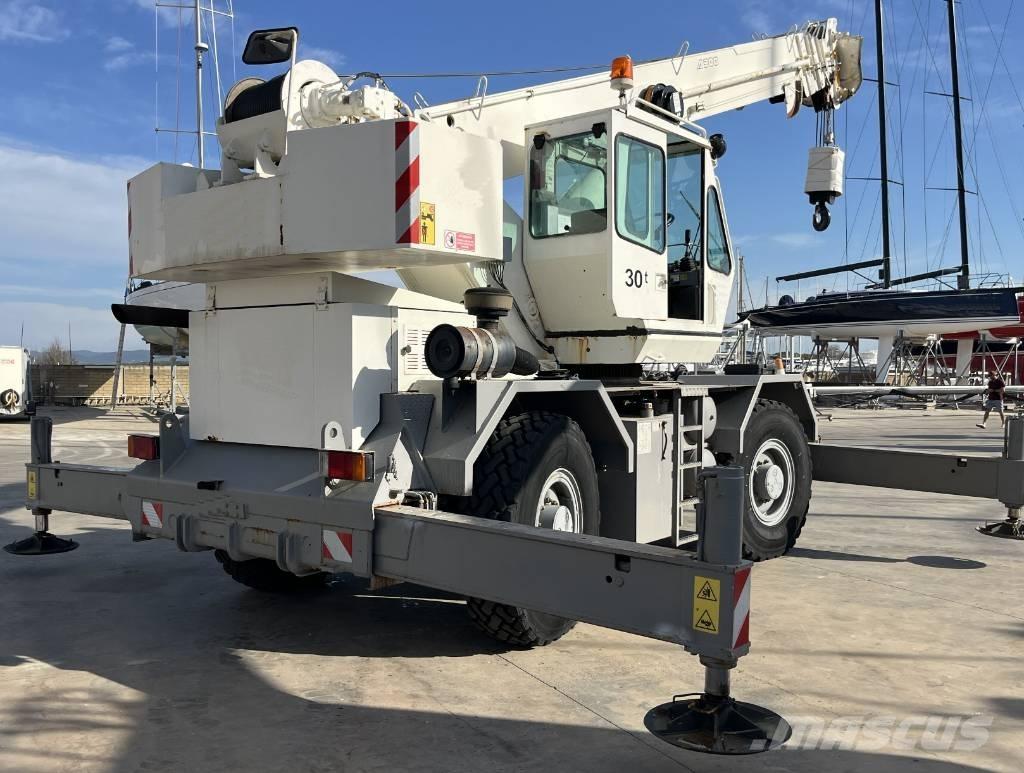 Terex A 300 Ruw terrein kranen
