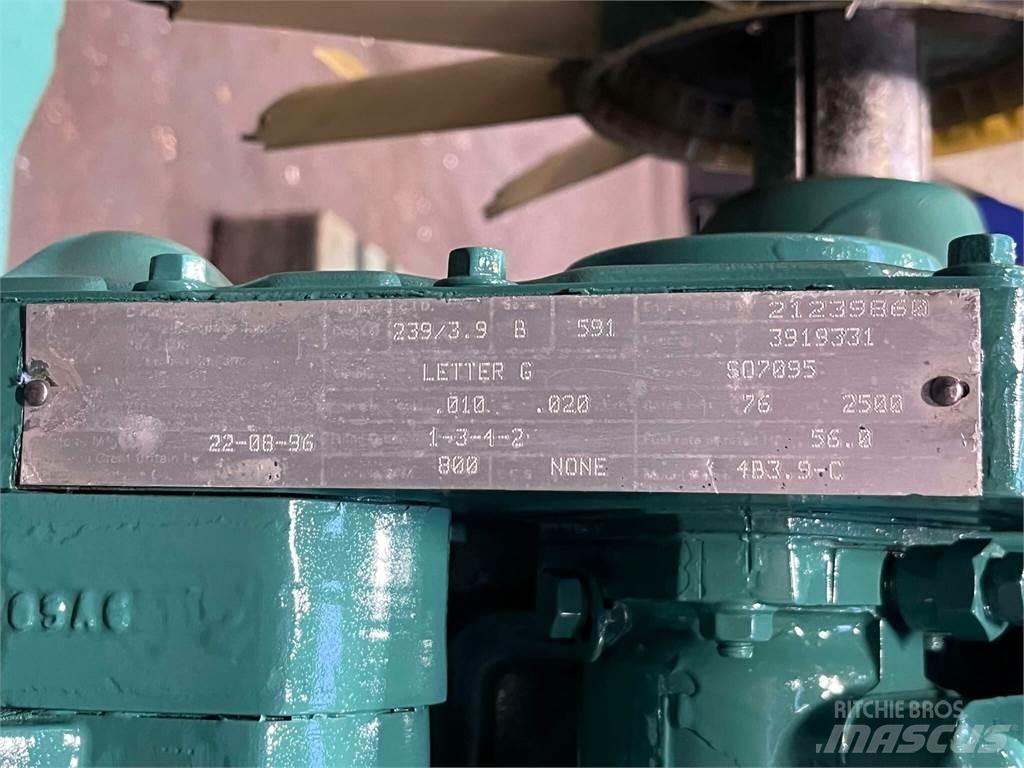 Cummins 4B3.9-C motor Motoren