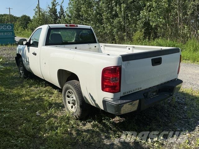 Chevrolet 1500 Bestelwagens met open laadbak