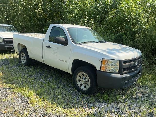 Chevrolet 1500 Bestelwagens met open laadbak