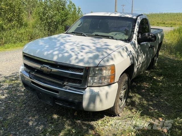 Chevrolet 1500 Bestelwagens met open laadbak