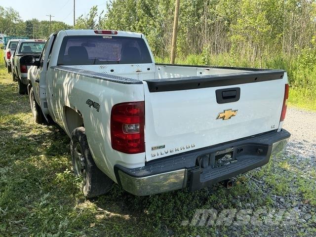 Chevrolet 1500 Bestelwagens met open laadbak