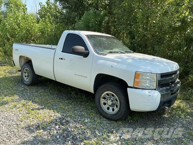 Chevrolet 1500 Bestelwagens met open laadbak