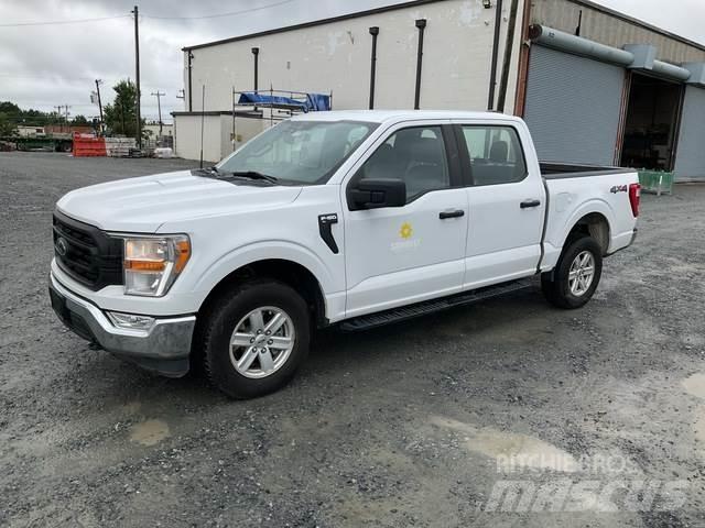 Ford F-150 Anders