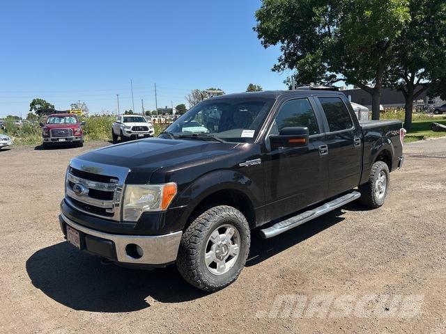 Ford F-150 Anders