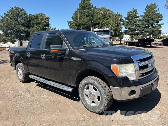 Ford F-150 Anders