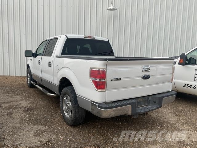 Ford F-150 Bestelwagens met open laadbak