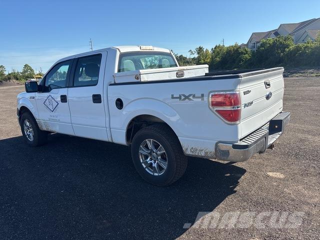Ford F-150 Bestelwagens met open laadbak