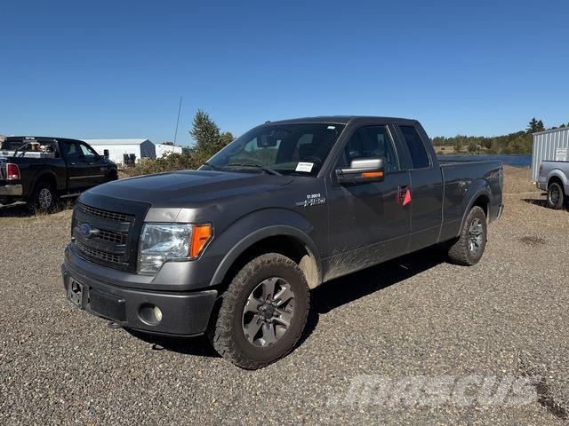 Ford F-150 Bestelwagens met open laadbak