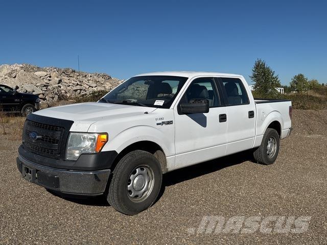 Ford F-150 Bestelwagens met open laadbak