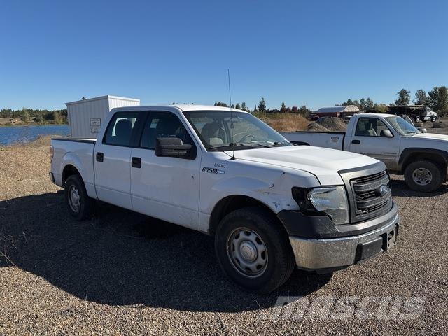 Ford F-150 Bestelwagens met open laadbak