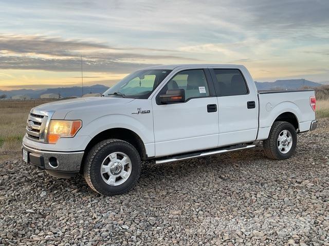 Ford F-150 Bestelwagens met open laadbak