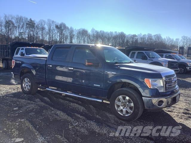 Ford F-150 Bestelwagens met open laadbak