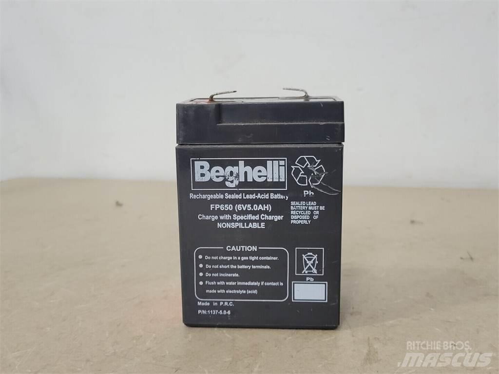  BEGHELLI FP650 Batterijen