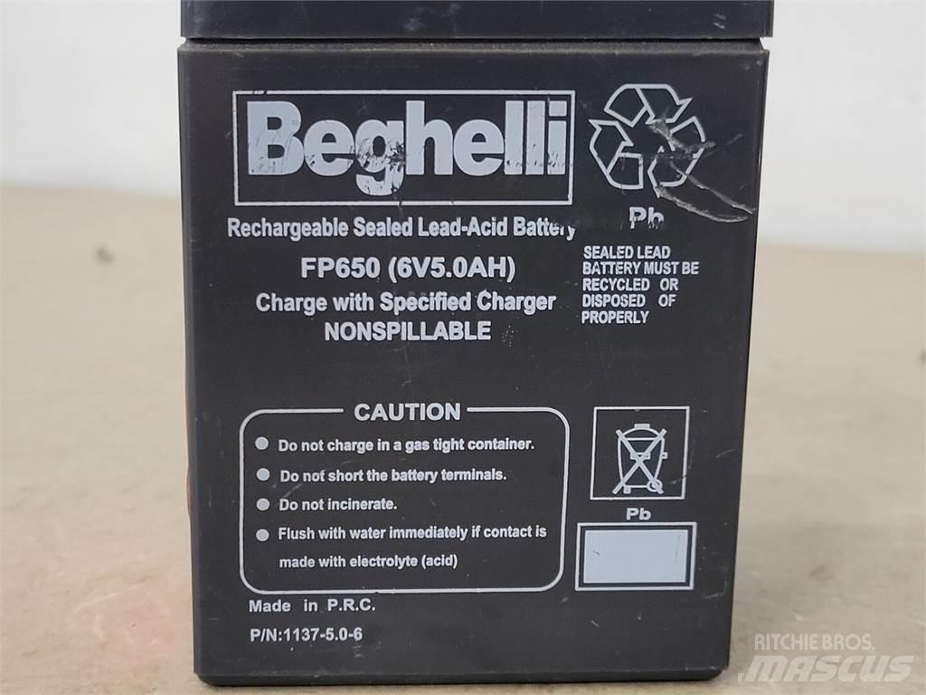  BEGHELLI FP650 Batterijen