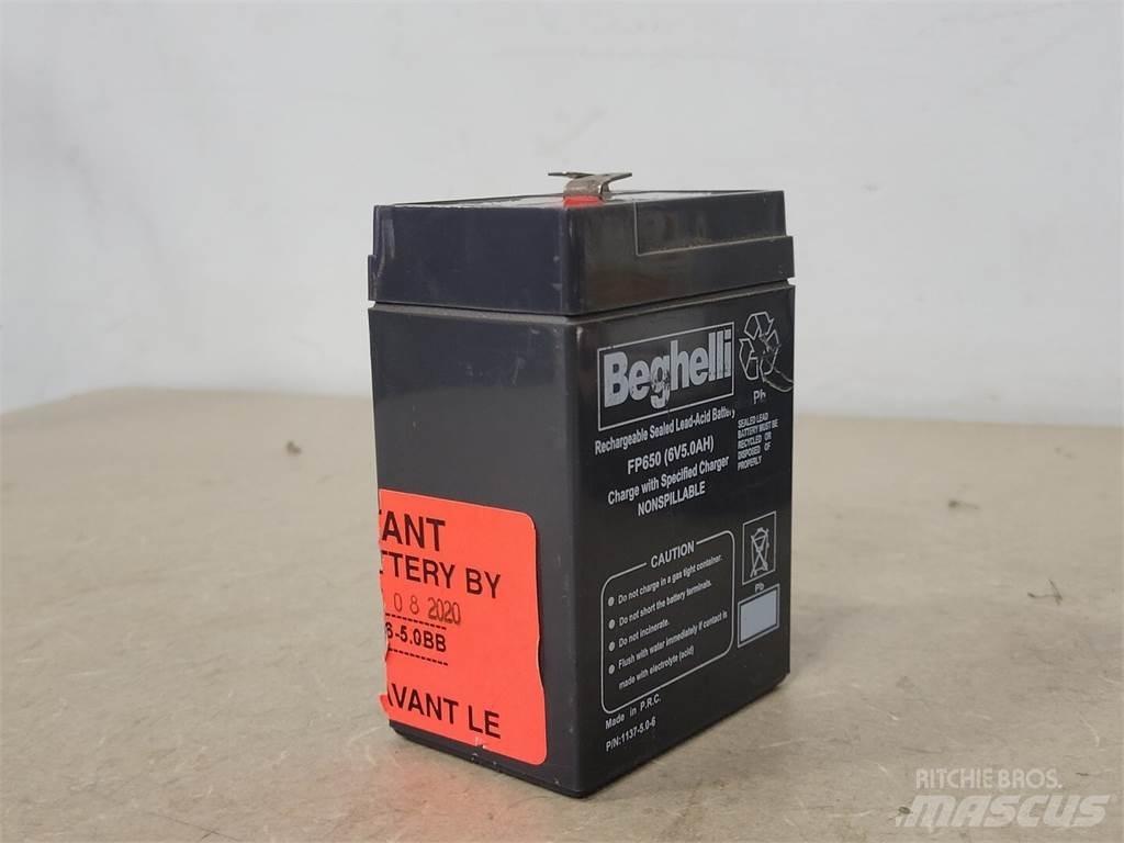  BEGHELLI FP650 Batterijen