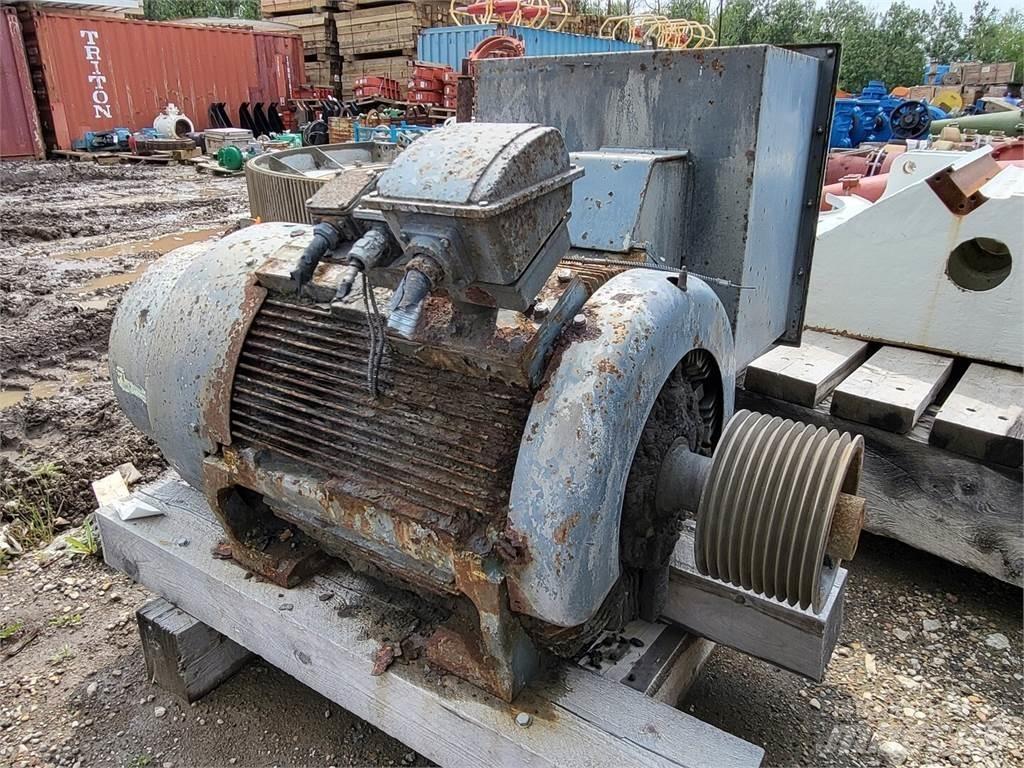  TECO-WESTINGHOUSE Industriële motoren