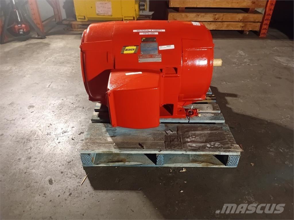 Westinghouse  Industriële motoren