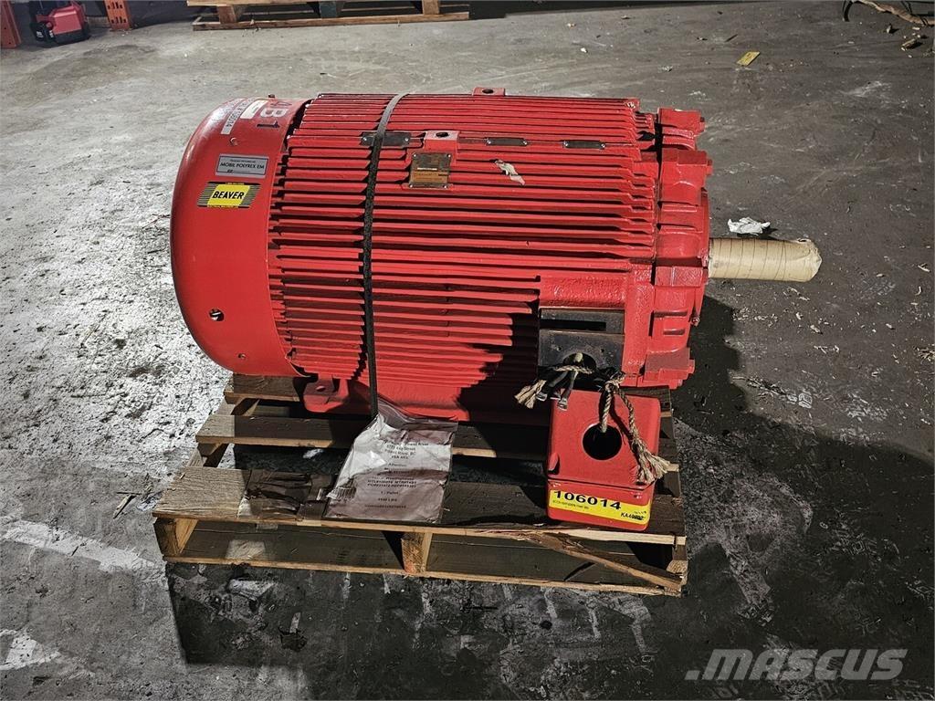 Westinghouse HSBN Industriële motoren