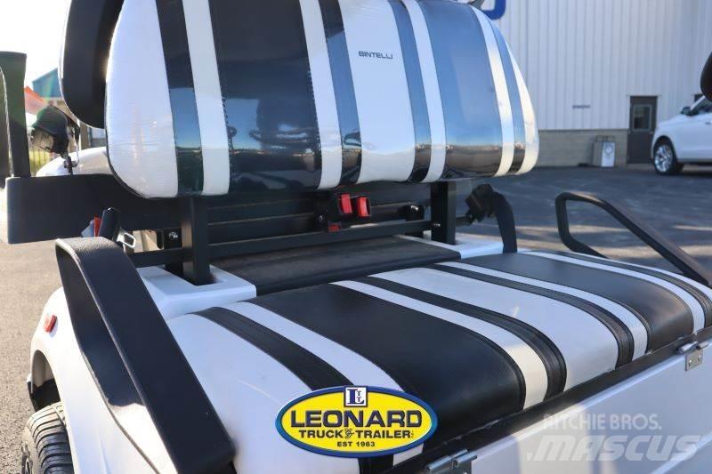  BINTELLI LSV4P Golfkarren / golf carts