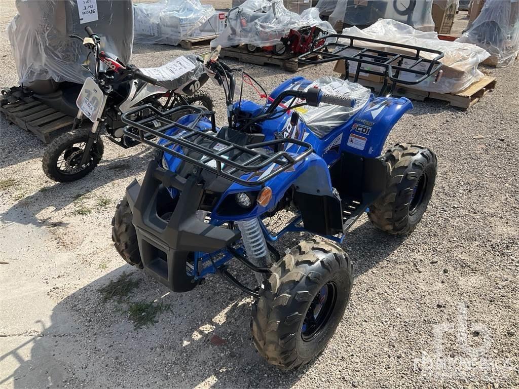  TAO T125 ATV's
