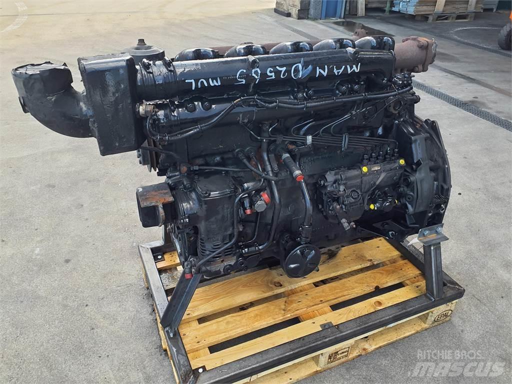 MAN D2565 MUL Motoren