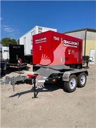 Baldor TS45T
