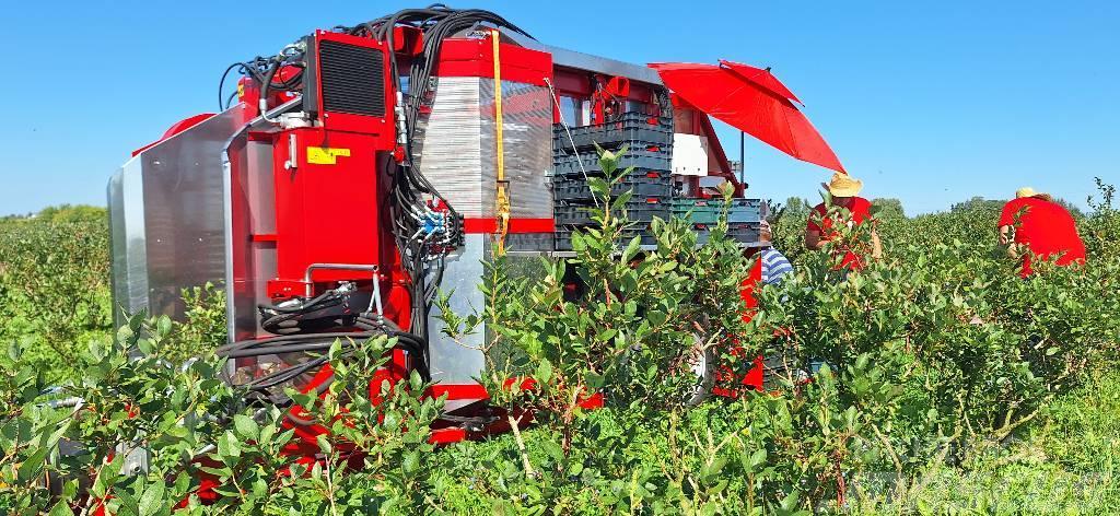 Weremczuk Kombajn do malin KAREN | Raspberry harvester Druivenoogstmachines