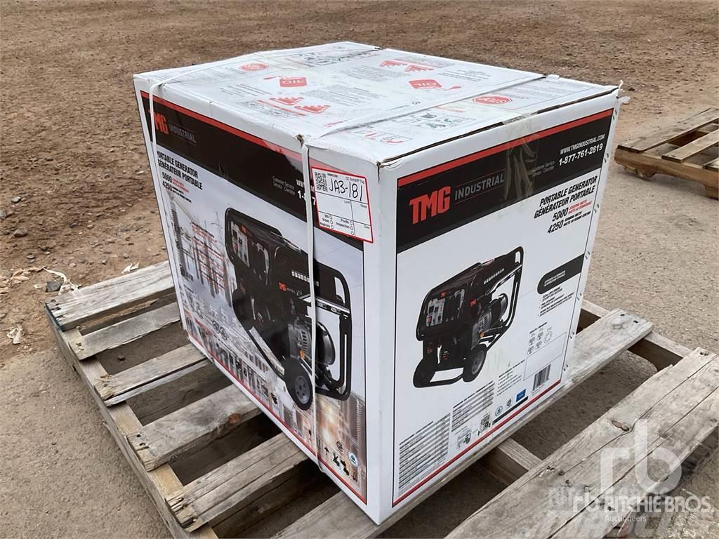  TMG 5000G Diesel generatoren