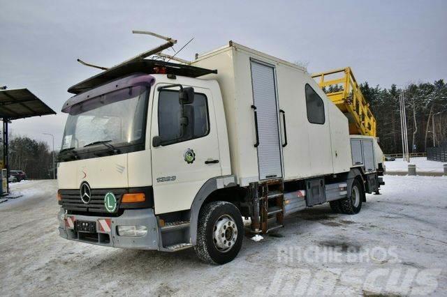Mercedes-Benz ATEGO 1323 4x2 Platform Palfinger Truck & Van mounted aerial platforms