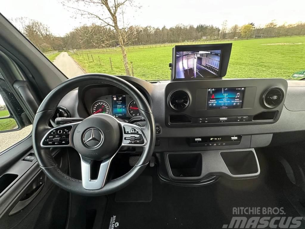 Mercedes-Benz Sprinter AMG 2-paards paardenvrachtwagen B-rijbewi Dieren transport