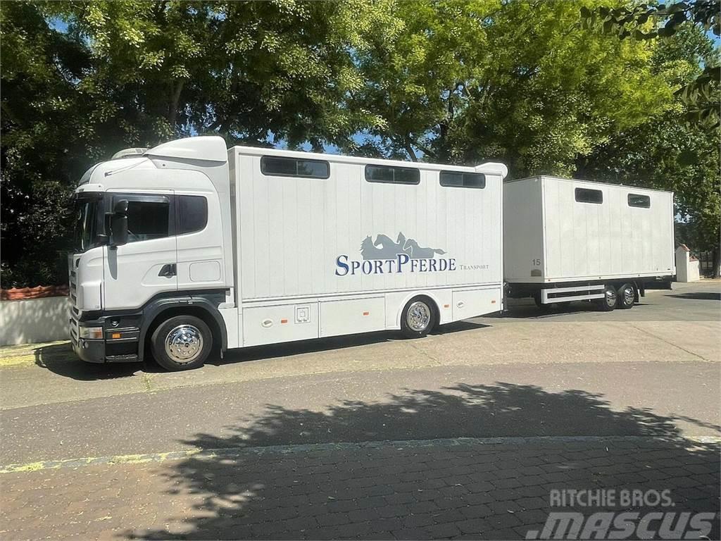 SCANIA R310 mit Spier Hänger 15 Pferde Dieren transport