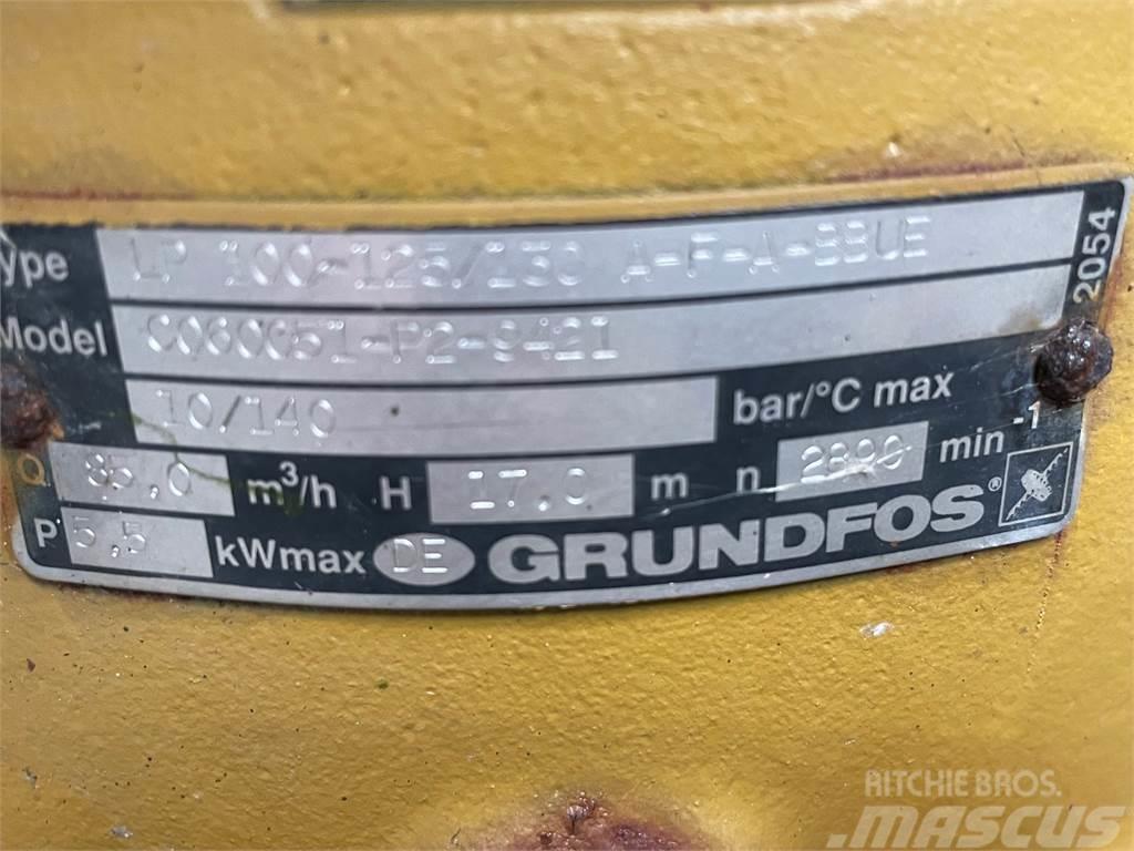 Grundfos type LP 100-125/130 A-F-A-BBUE pumpe Waterpompen