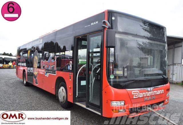 MAN A 21 Lion&apos;s City / A 20 / O 530 Citaro Intercitybussen