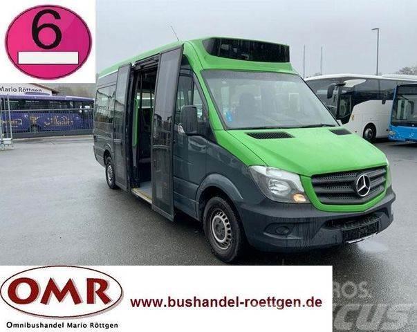 Mercedes-Benz Sprinter 314 Mobility / 316 / 514 / 516 / Rampe Minibussen